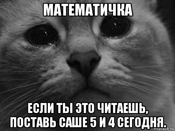 математичка если ты это читаешь, поставь саше 5 и 4 сегодня., Мем  котик