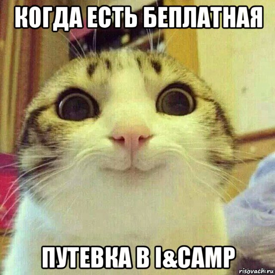 когда есть беплатная путевка в i&camp