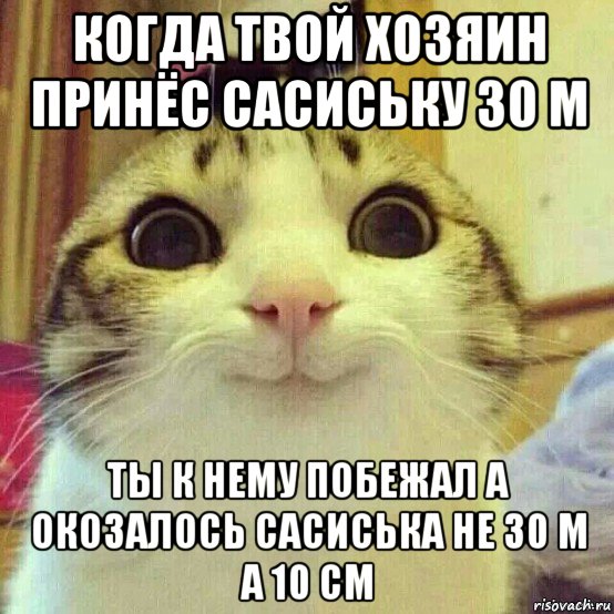 когда твой хозяин принёс сасиську 30 м ты к нему побежал а окозалось сасиська не 30 м а 10 см, Мем       Котяка-улыбака