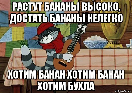 растут бананы высоко, достать бананы нелегко хотим банан хотим банан хотим бухла, Мем Грустный Матроскин с гитарой