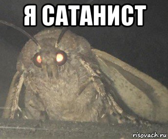 я сатанист , Мем Матылёк