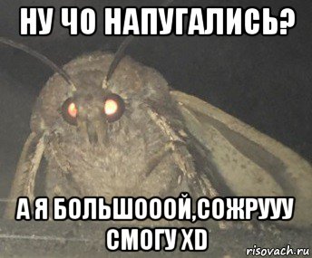 ну чо напугались? а я большооой,сожрууу смогу xd, Мем Матылёк