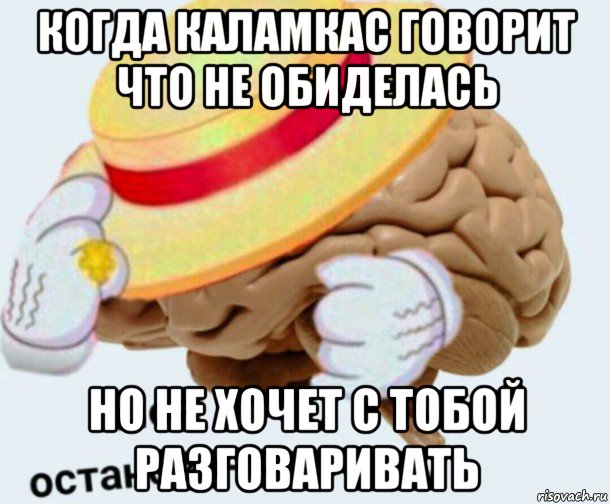 когда каламкас говорит что не обиделась но не хочет с тобой разговаривать, Мем   Моя остановочка мозг