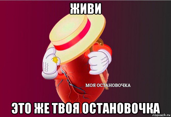 живи это же твоя остановочка, Мем   Моя остановочка