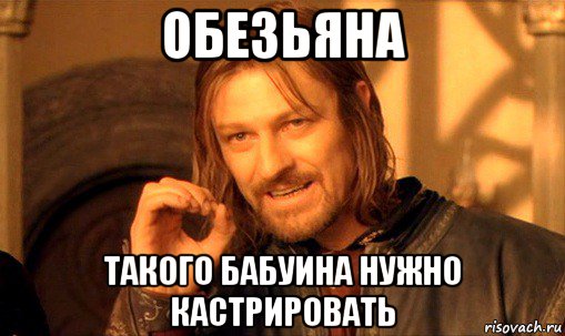 обезьяна такого бабуина нужно кастрировать, Мем Нельзя просто так взять и (Боромир мем)