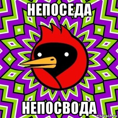 непоседа непосвода, Мем Омская птица