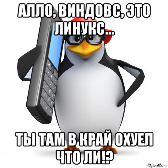 алло, виндовс, это линукс... ты там в край охуел что ли!?, Мем   Пингвин звонит