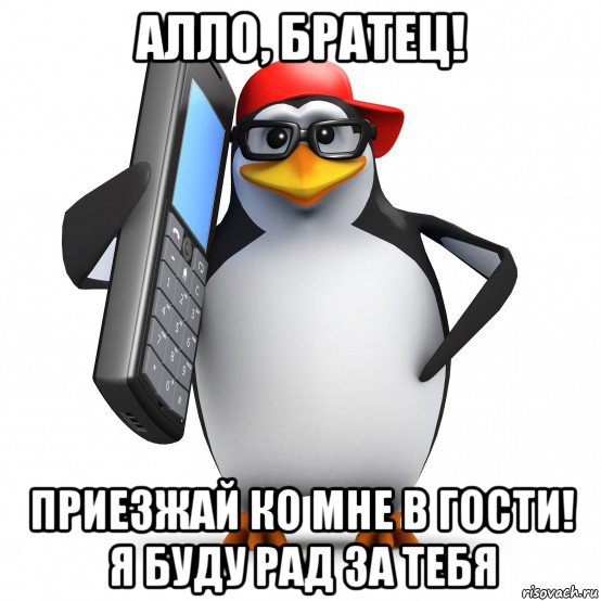 алло, братец! приезжай ко мне в гости! я буду рад за тебя, Мем   Пингвин звонит