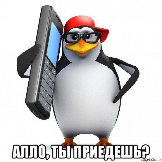  алло, ты приедешь?, Мем   Пингвин звонит