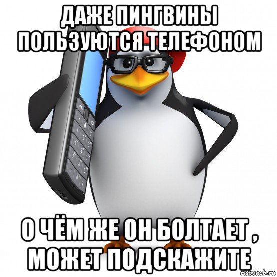 даже пингвины пользуются телефоном о чём же он болтает , может подскажите, Мем   Пингвин звонит