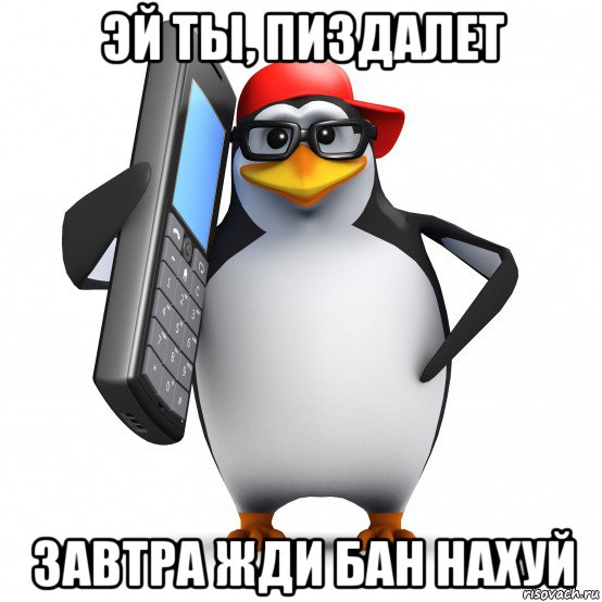 эй ты, пиздалет завтра жди бан нахуй, Мем   Пингвин звонит