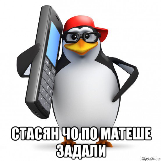  стасян чо по матеше задали, Мем   Пингвин звонит