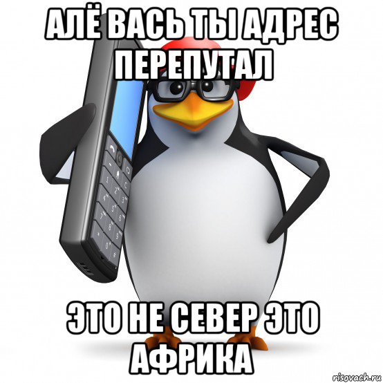 алё вась ты адрес перепутал это не север это африка, Мем   Пингвин звонит