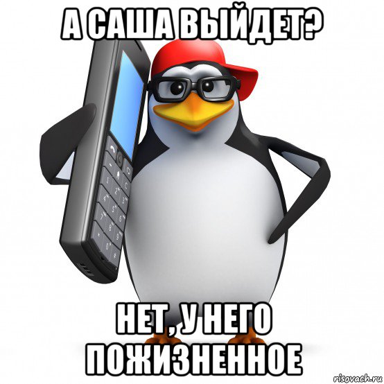 а саша выйдет? нет, у него пожизненное, Мем   Пингвин звонит