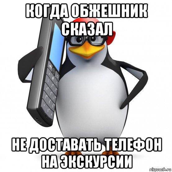 когда обжешник сказал не доставать телефон на экскурсии, Мем   Пингвин звонит