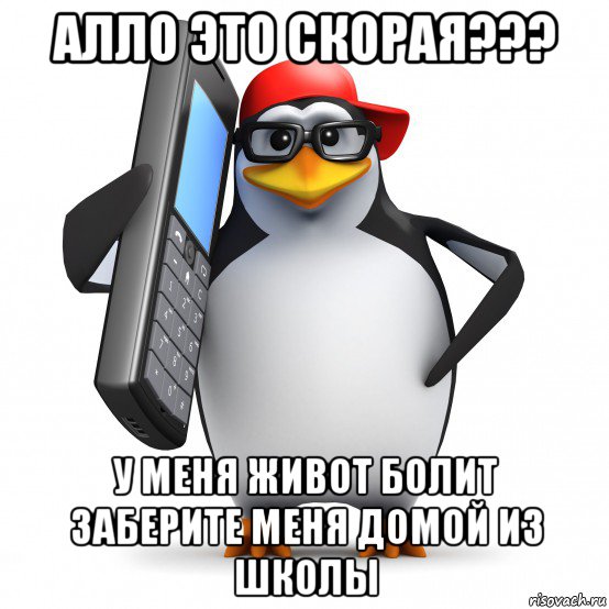 алло это скорая??? у меня живот болит заберите меня домой из школы, Мем   Пингвин звонит