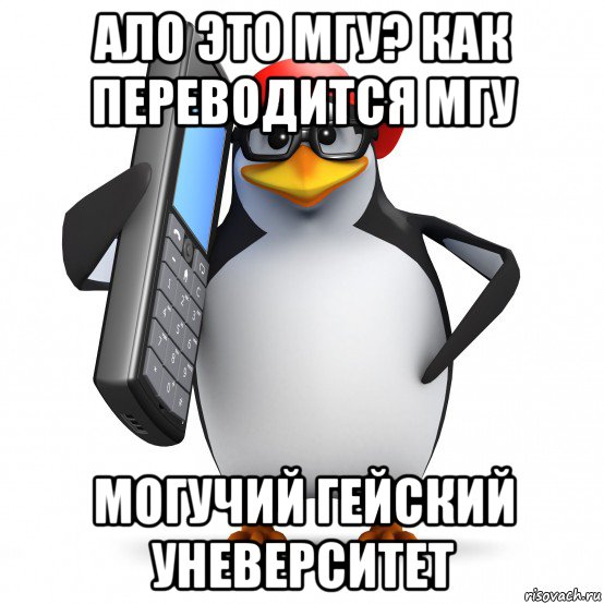 ало это мгу? как переводится мгу могучий гейский уневерситет, Мем   Пингвин звонит