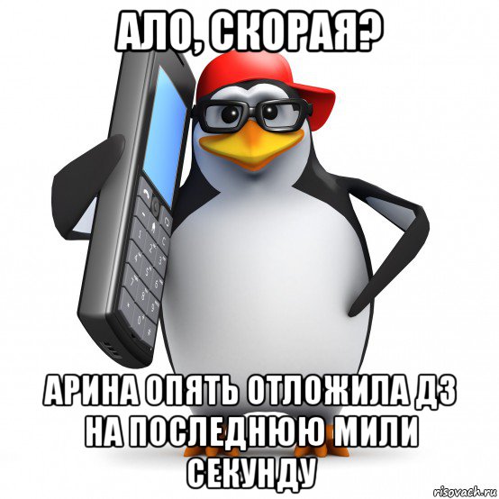 ало, скорая? арина опять отложила дз на последнюю мили секунду, Мем   Пингвин звонит