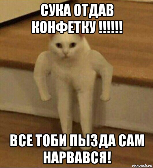 сука отдав конфетку !!!!!! все тоби пызда сам нарвався!, Мем  Полукот