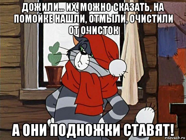 дожили… их, можно сказать, на помойке нашли, отмыли, очистили от очисток а они подножки ставят!, Мем Кот Матроскин