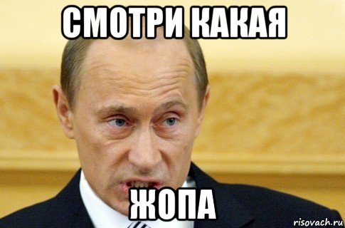 смотри какая жопа, Мем путин