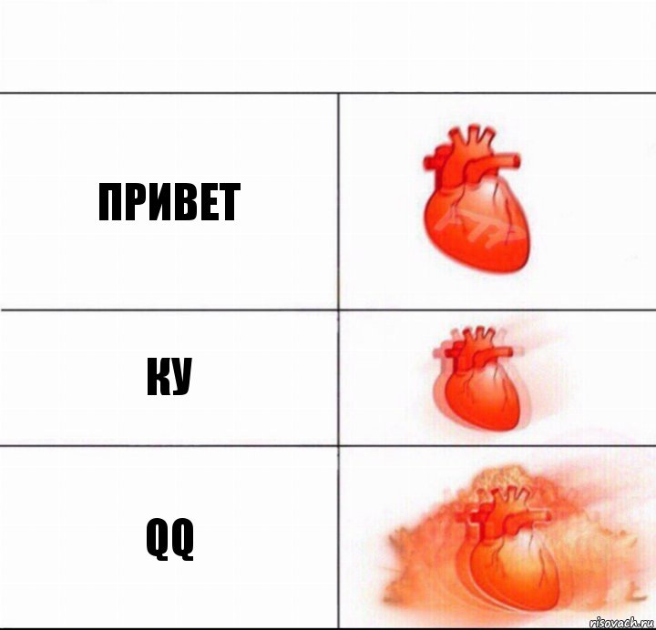 Привет Ку qq