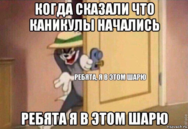 когда сказали что каникулы начались ребята я в этом шарю, Мем    Ребята я в этом шарю