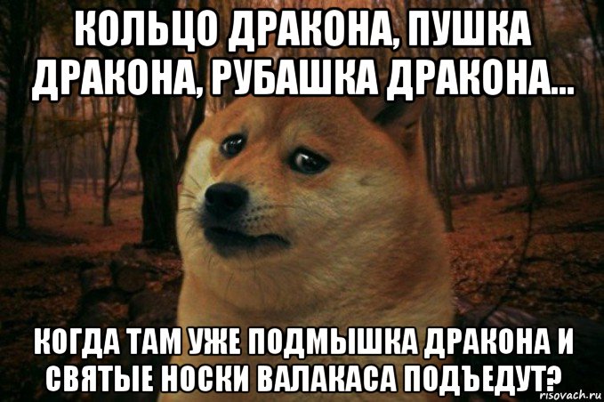 кольцо дракона, пушка дракона, рубашка дракона... когда там уже подмышка дракона и святые носки валакаса подъедут?, Мем SAD DOGE