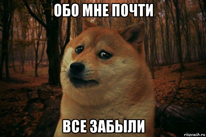 обо мне почти все забыли, Мем SAD DOGE