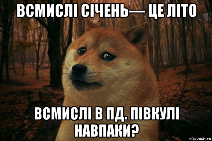 всмислі січeнь— цe літо всмислі в пд. півкулі навпаки?