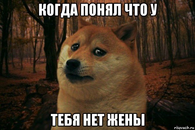 когда понял что у тебя нет жены