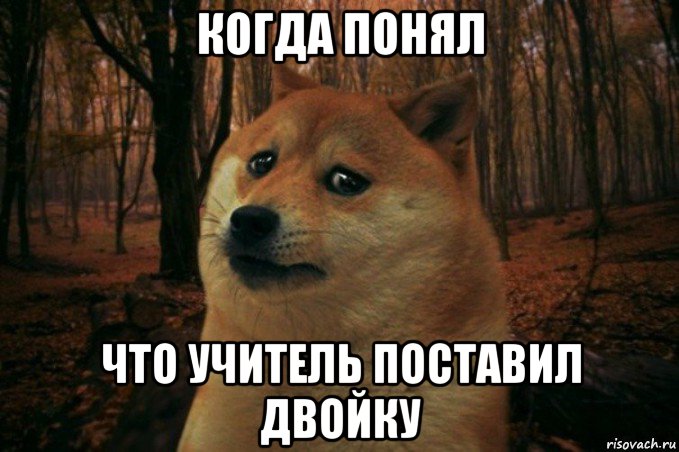 когда понял что учитель поставил двойку, Мем SAD DOGE