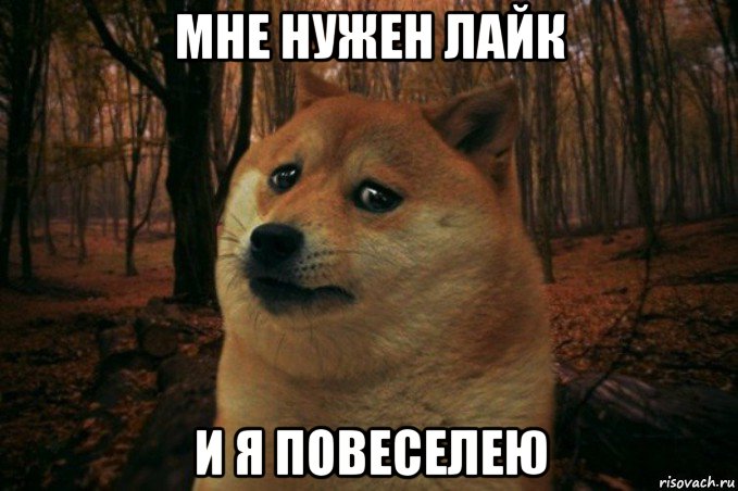 мне нужен лайк и я повеселею, Мем SAD DOGE