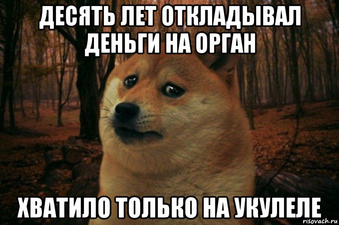 десять лет откладывал деньги на орган хватило только на укулеле, Мем SAD DOGE