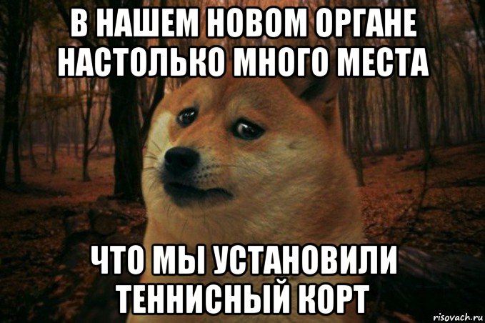 в нашем новом органе настолько много места что мы установили теннисный корт