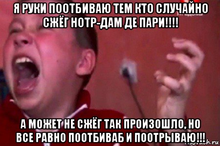 я руки поотбиваю тем кто случайно сжёг нотр-дам де пари!!!! а может не сжёг так произошло, но все равно поотбиваб и поотрываю!!!