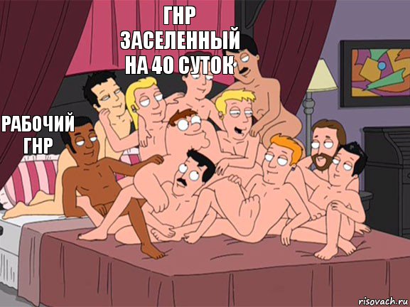 Рабочий гнр Гнр заселенный на 4о суток   