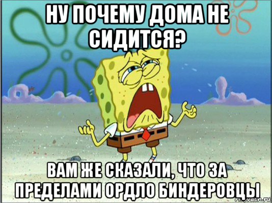 ну почему дома не сидится? вам же сказали, что за пределами ордло биндеровцы, Мем Спанч Боб плачет