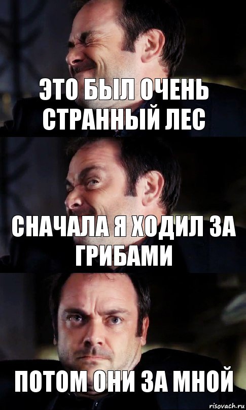 Это был очень странный лес Сначала я ходил за грибами Потом они за мной , Комикс  СПН Кроули