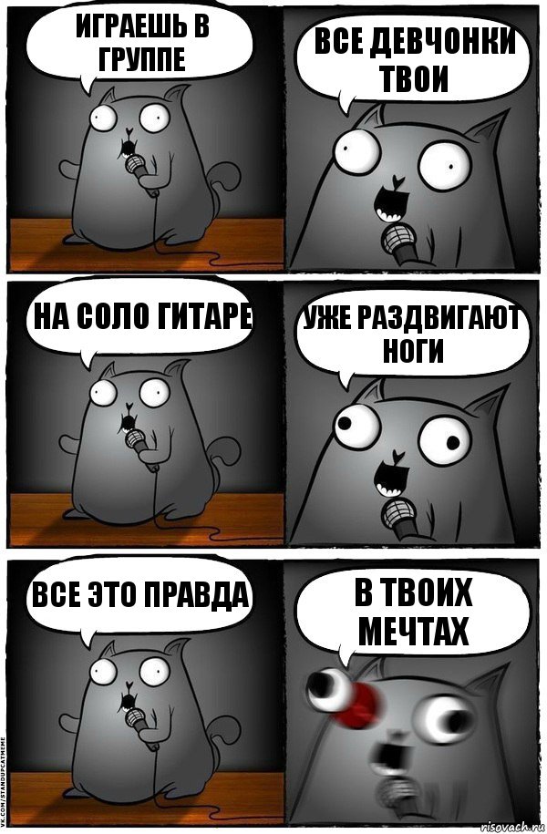 Играешь в группе Все девчонки твои На соло гитаре Уже раздвигают ноги Все это правда В твоих мечтах, Комикс  Стендап-кот