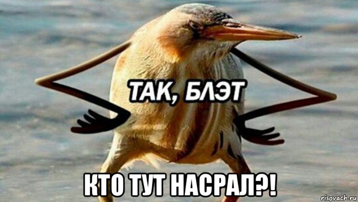  кто тут насрал?!, Мем  Так блэт