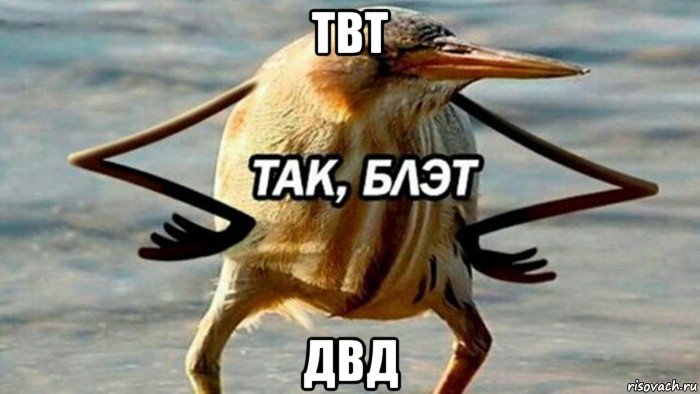 твт двд, Мем  Так блэт