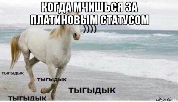 когда мчишься за платиновым статусом , Мем   Тыгыдык