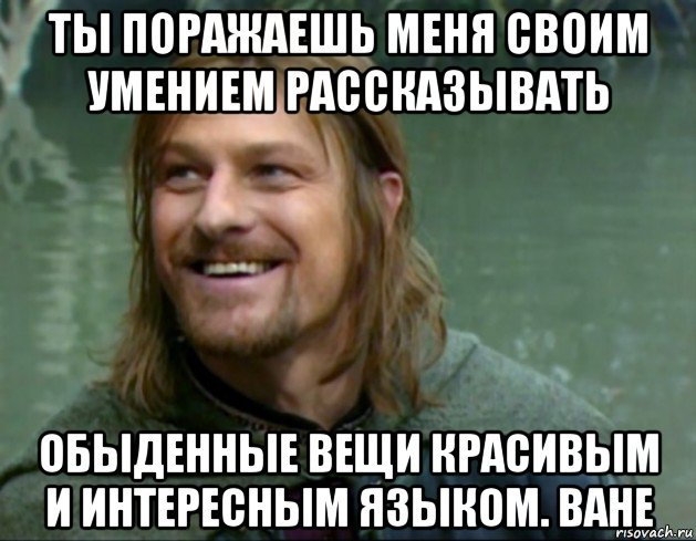 ты поражаешь меня своим умением рассказывать обыденные вещи красивым и интересным языком. ване, Мем Тролль Боромир