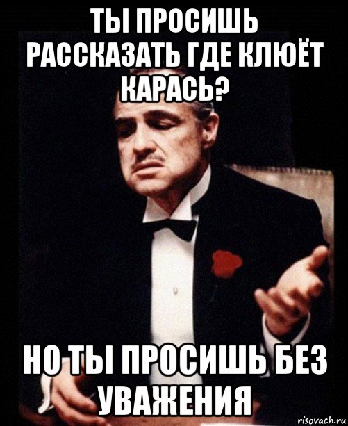 ты просишь рассказать где клюёт карась? но ты просишь без уважения, Мем ты делаешь это без уважения