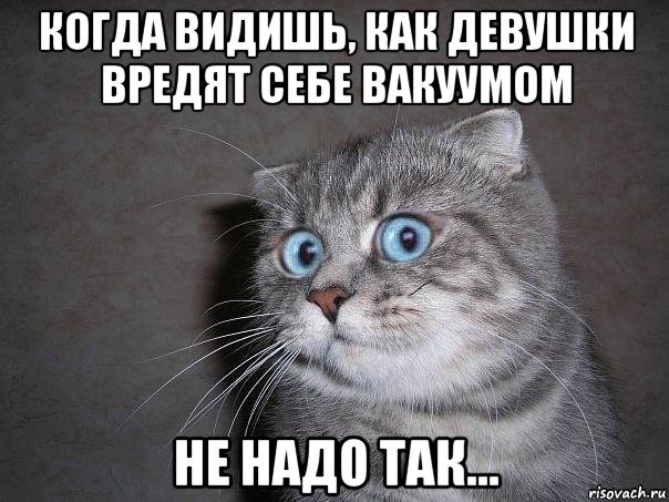 когда видишь, как девушки вредят себе вакуумом не надо так..., Мем  удивлённый кот