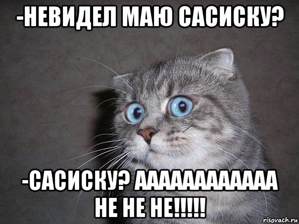 -невидел маю сасиску? -сасиску? аааааааааааа не не не!!!!!, Мем  удивлённый кот