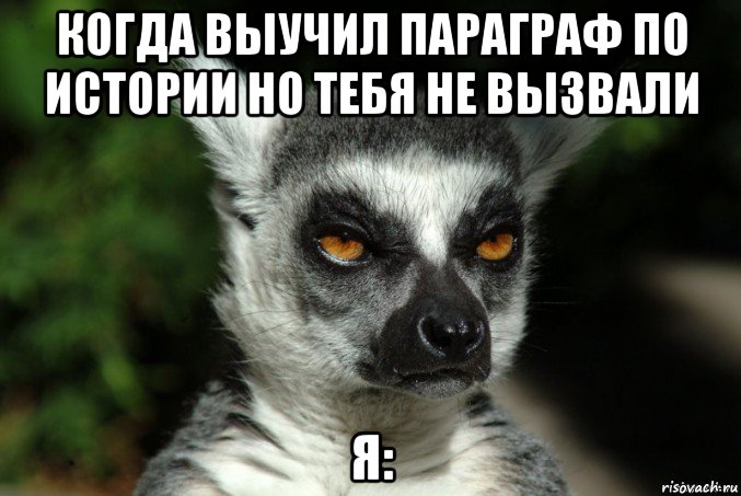 когда выучил параграф по истории но тебя не вызвали я:, Мем   Я збагоен