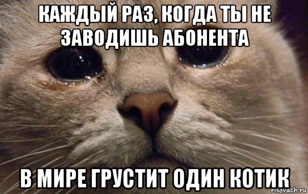каждый раз, когда ты не заводишь абонента в мире грустит один котик, Мем   В мире грустит один котик