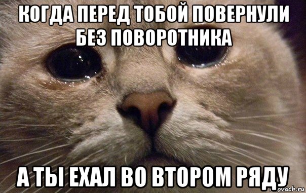 когда перед тобой повернули без поворотника а ты ехал во втором ряду, Мем   В мире грустит один котик